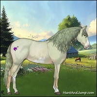 Horse Color:Watercolor Red Dun Frame 