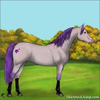 Horse Color:Watercolor Buckskin Dun Tobiano