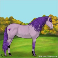 Horse Color:Watercolor Bay Dun Sabino 