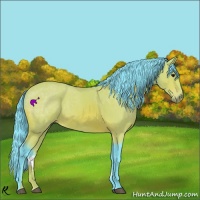 Horse Color:Watercolor Bay Sabino 