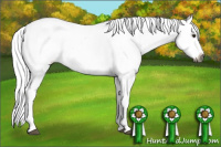 Horse Color:Gray Red Dun Appaloosa 