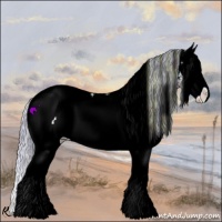 Horse Color:Watercolor White Spotted Buckskin Dun Splash Appaloosa 