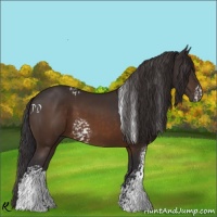 Horse Color:White Spotted Buckskin 