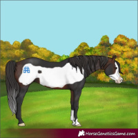 Horse Color:Brown Frame 