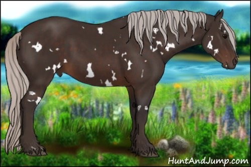 Horse Color:White Spotted Silver Brown