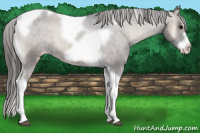 Horse Color:Blue Onyx Tobiano Frame Varnish