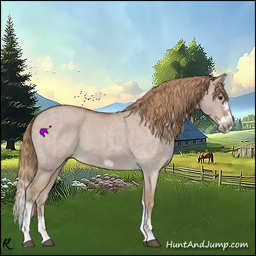 Horse Color:Watercolor Red Dun Splash Frame 