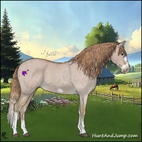 Horse Color:Watercolor Red Dun Splash Frame