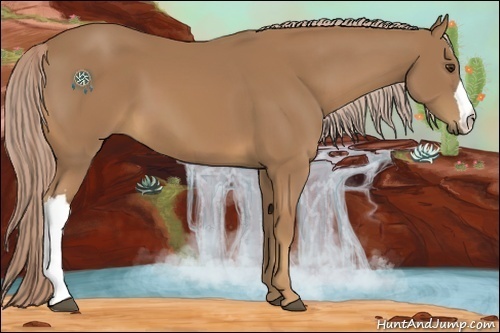 Horse Color:Palomino 