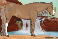 Horse Color:Palomino 