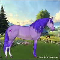 Horse Color:Watercolor Bay Dun 