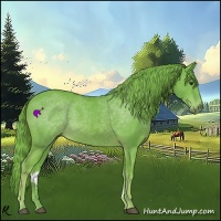 Horse Color:Watercolor Chestnut 
