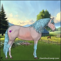 Horse Color:Watercolor Bay Dun
