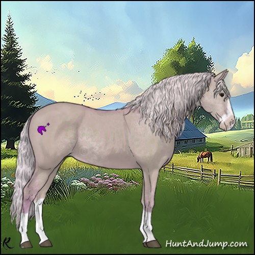 Horse Color:Watercolor Silver Grullo Splash