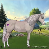 Horse Color:Watercolor Silver Grullo Splash 
