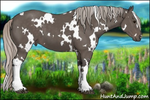Horse Color:White Spotted Silver Black 