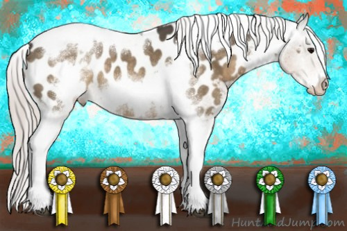 Horse Color:Silver Brown Dun Sabino Tobiano Frame Near Leopard Rabicano