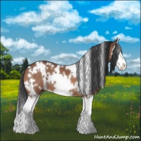 Horse Color:White Spotted Bay Splash 