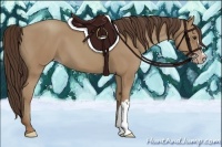 Horse Color:Classic Champagne 