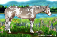 Horse Color:White Spotted Silver Blue Onyx Splash 