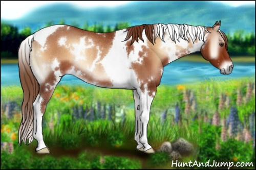 Horse Color:White Spotted Red Onyx Tobiano Rabicano 