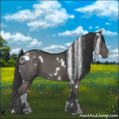 Horse Color:White Spotted Grullo 