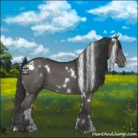Horse Color:White Spotted Grullo