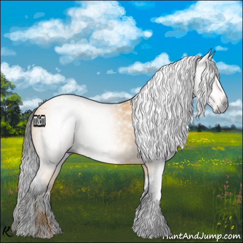 Horse Color:Gray White Spotted Buckskin 
