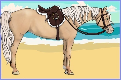 Horse Color:Silver Sable Champagne 