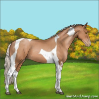 Horse Color:Silver Brown Pearl Tobiano 