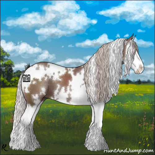 Horse Color:White Spotted Chocolate Silver Black Splash 