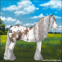 Horse Color:White Spotted Chocolate Silver Black Splash 