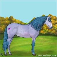 Horse Color:Watercolor Bay Dun