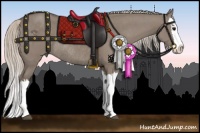 Horse Color:Silver Grullo Splash Rabicano