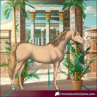 Horse Color:Gold Champagne 