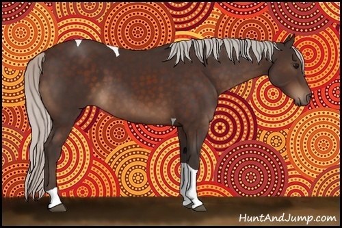 Horse Color:Silver Brown Tobiano