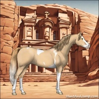 Horse Color:Gold Champagne Splash Tobiano 