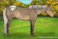 Horse Color:Silver Smoky Grullo Varnish Rabicano 