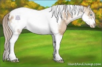 Horse Color:Chocolate Palomino Pearl Tobiano Frame  and Chocolate Palomino Pearl Dun Tobiano Frame 