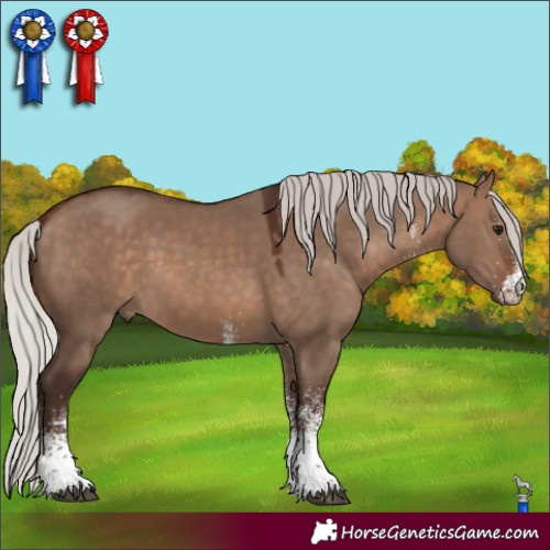 Horse Color:White Spotted Silver Brown Dun