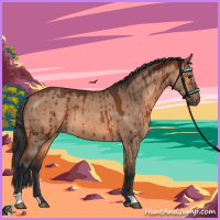 Horse Color:Bay Dun Brindle 