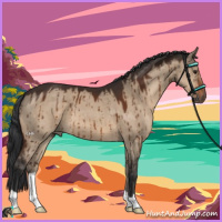 Horse Color:Brown Dun Brindle 