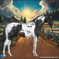 Horse Color:Brown Tobiano 