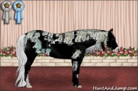 Horse Color:Watercolor White Spotted Chestnut 