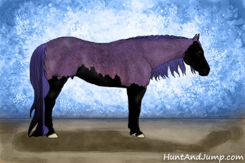 Horse Color:Void Watercolor Bay Roan Splash 