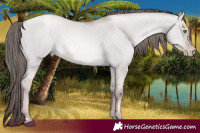 Horse Color:Platinum Liver Red Dun Pearl  and Platinum Liver Red Dun Pearl 