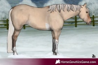 Horse Color:Silver Bay Dun Tobiano 