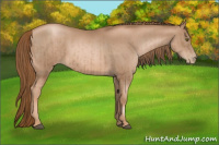 Horse Color:Liver Chestnut Pearl  and Liver Chestnut Pearl 