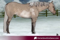 Horse Color:Silver Brown Dun