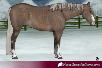 Horse Color:Silver Brown Dun 